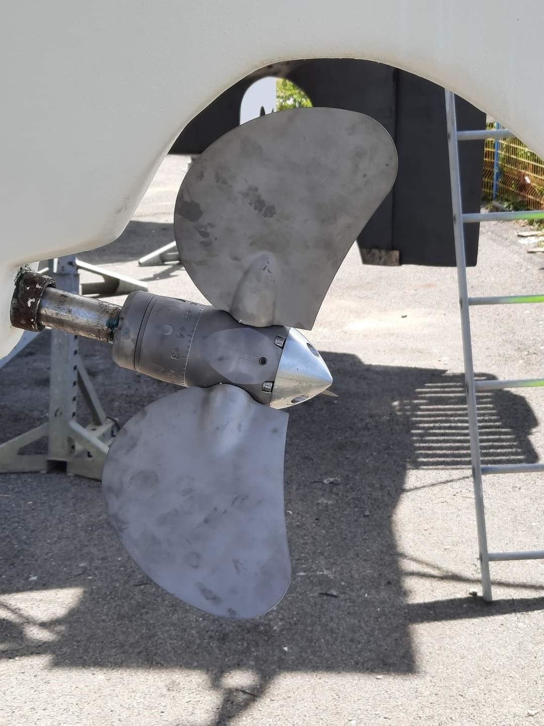 Carter 37 Mustang EWOL