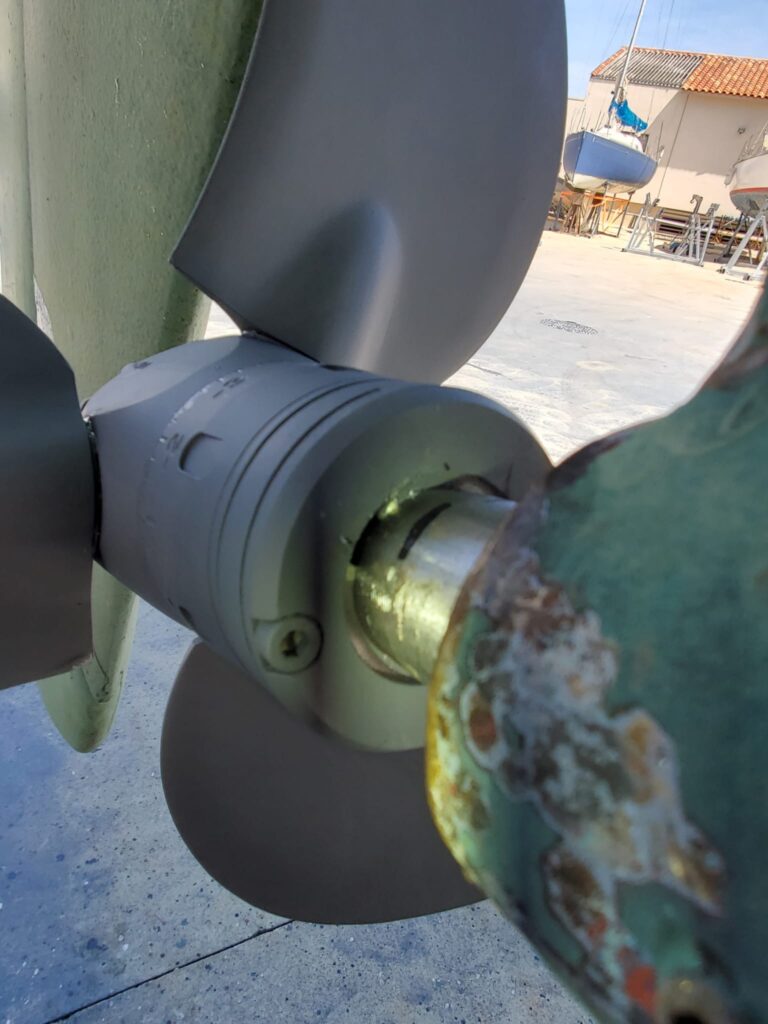 Immagine whatsapp 2025 06 03 ore 17.24.25 fd1e94d7