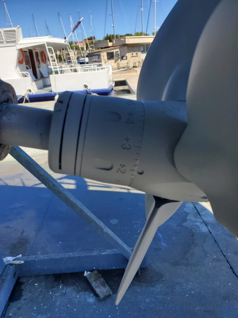 Immagine whatsapp 2025 06 03 ore 17.24.26 34dcc9c5