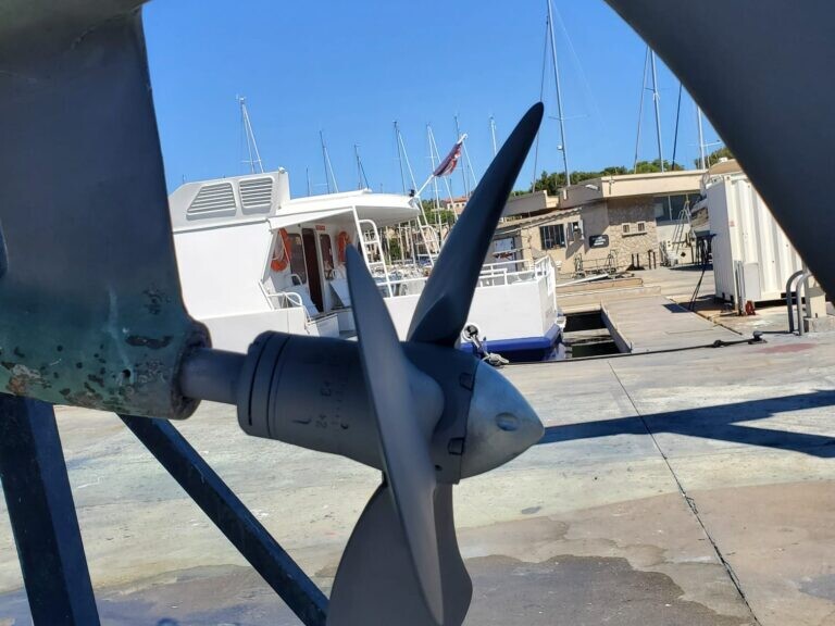 Immagine whatsapp 2025 06 03 ore 17.24.27 614b31b8